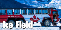 Jasper Columbia Icefield