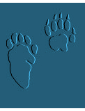 skunk tracks - Jasper Wildlife
