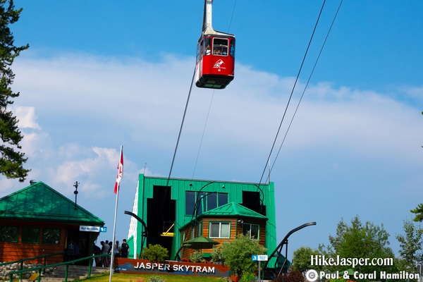 Jasper SkyTram Tickets